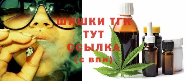 стаф Дмитриев