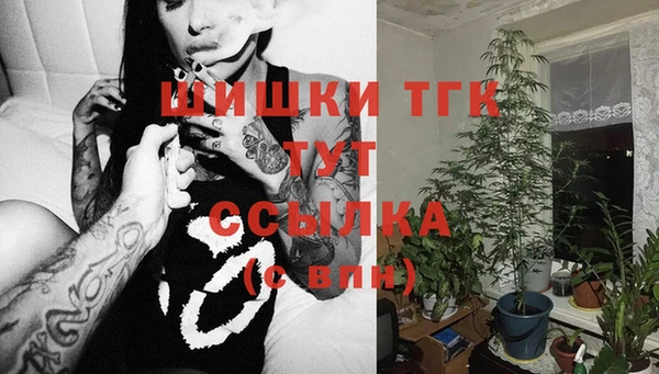 шишки Дмитров