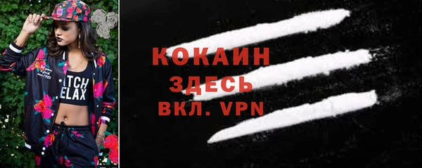 шишки Дмитров