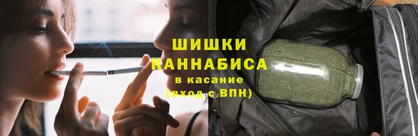 шишки Дмитров