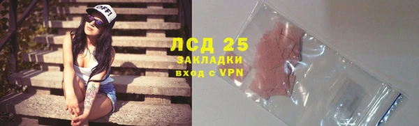 шишки Дмитров