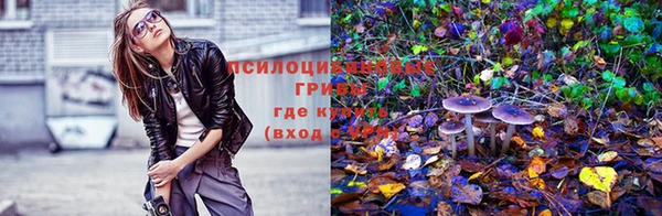прущие крисы Дмитровск