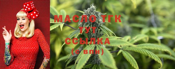 стаф Дмитриев