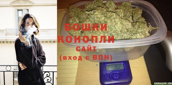 шишки Дмитров