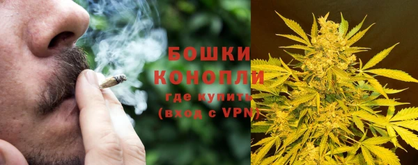 стаф Дмитриев