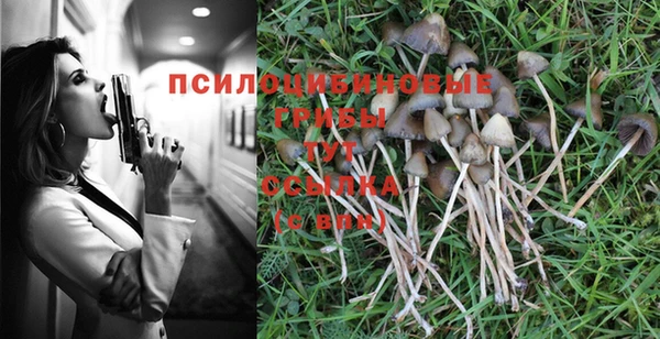 шишки Дмитров