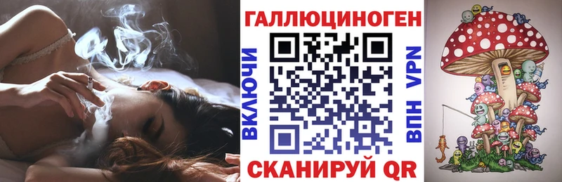 Псилоцибиновые грибы прущие грибы Заполярный